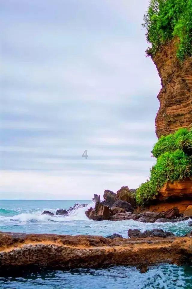 迈克生物：血清淀粉样蛋白A测定试剂盒取得注册证书